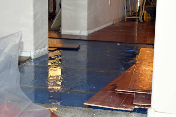Professional Flood Damage Repair technician working in Bridgewater, MA
